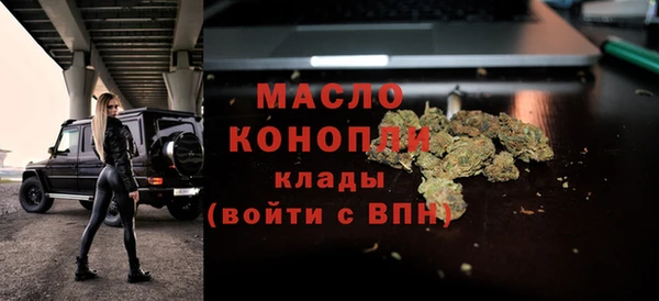 молекула духа Горнозаводск