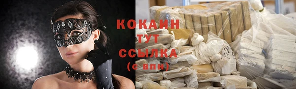 стаф Горно-Алтайск
