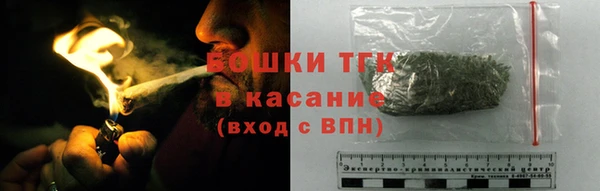 молекула духа Горнозаводск