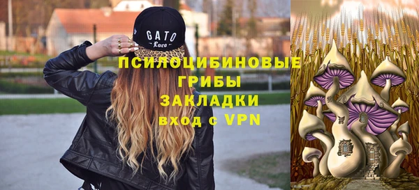 соль ск Горняк
