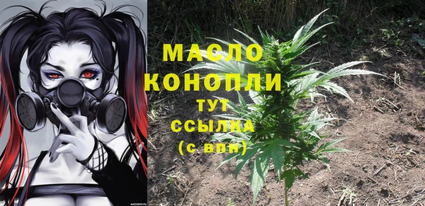молекула духа Горнозаводск
