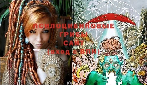 соль ск Горняк