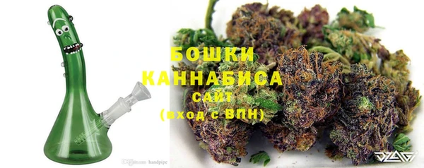 стаф Горно-Алтайск