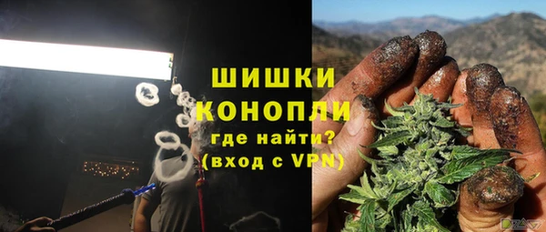 молекула духа Горнозаводск